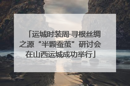 运城时装周·寻根丝绸之源“半颗蚕茧”研讨会在山西运城成功举行