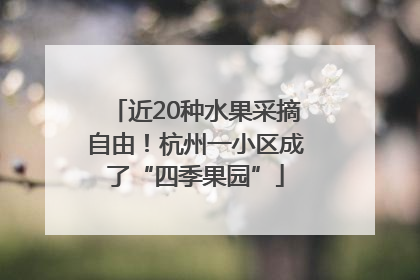 近20种水果采摘自由！杭州一小区成了“四季果园”