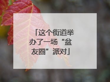 这个街道举办了一场“盆友圈”派对