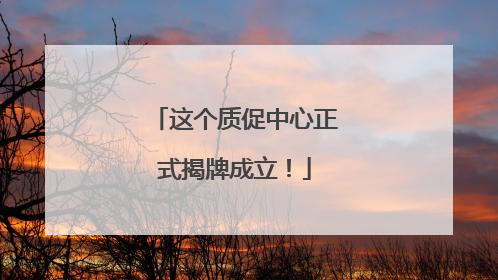这个质促中心正式揭牌成立！