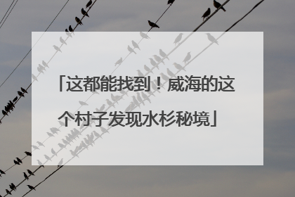 这都能找到！威海的这个村子发现水杉秘境