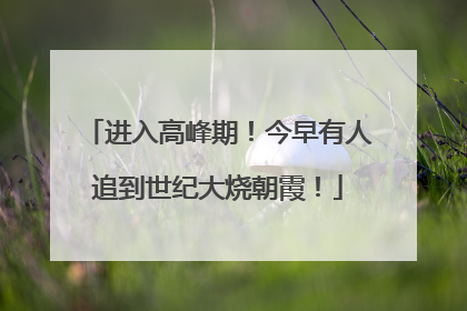 进入高峰期！今早有人追到世纪大烧朝霞！