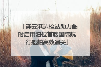 连云港边检站助力临时启用泊位首艘国际航行船舶高效通关