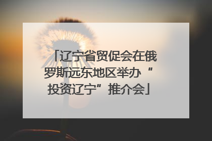 辽宁省贸促会在俄罗斯远东地区举办“投资辽宁”推介会