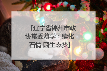 辽宁省锦州市政协常委薄学：续化石情 圆生态梦