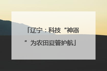 辽宁：科技“神器”为农田夏管护航