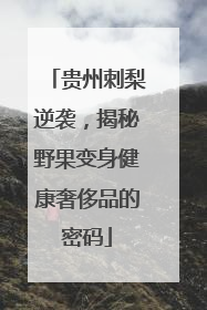 贵州刺梨逆袭，揭秘野果变身健康奢侈品的密码