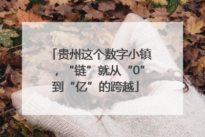 贵州这个数字小镇，“链”就从“0”到“亿”的跨越