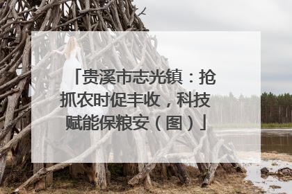 贵溪市志光镇：抢抓农时促丰收，科技赋能保粮安（图）
