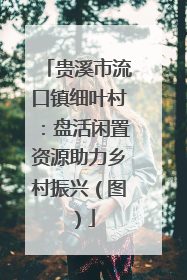 贵溪市流口镇细叶村：盘活闲置资源助力乡村振兴（图）