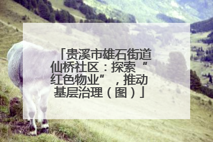贵溪市雄石街道仙桥社区：探索“红色物业”，推动基层治理（图）
