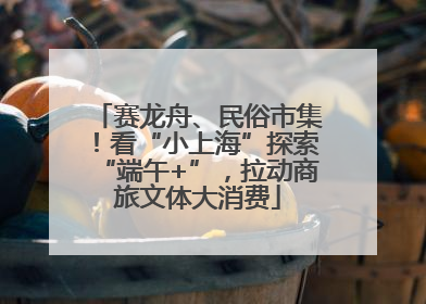赛龙舟、民俗市集！看“小上海”探索“端午+”，拉动商旅文体大消费
