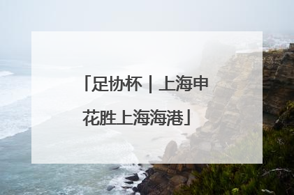 足协杯｜上海申花胜上海海港