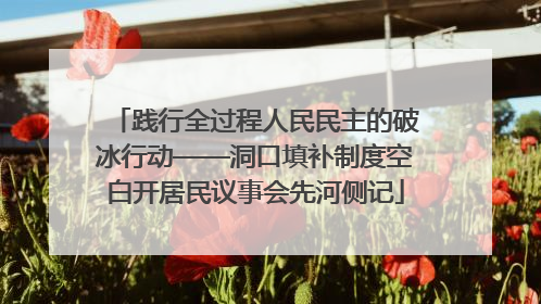 践行全过程人民民主的破冰行动——洞口填补制度空白开居民议事会先河侧记