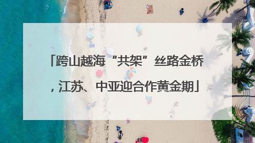 跨山越海“共架”丝路金桥，江苏、中亚迎合作黄金期