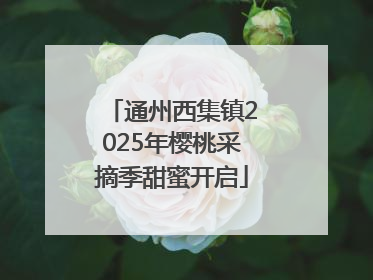 通州西集镇2025年樱桃采摘季甜蜜开启