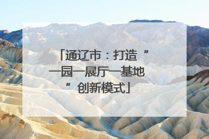 通辽市：打造“一园一展厅一基地”创新模式