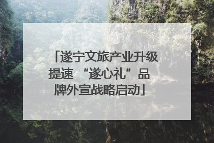 遂宁文旅产业升级提速 “遂心礼”品牌外宣战略启动