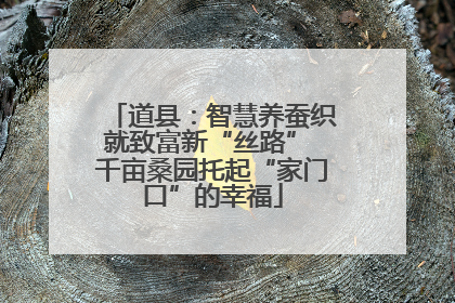 道县：智慧养蚕织就致富新“丝路” 千亩桑园托起“家门口”的幸福