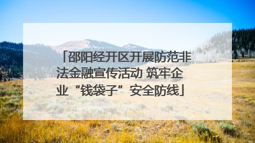 邵阳经开区开展防范非法金融宣传活动 筑牢企业“钱袋子”安全防线