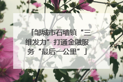 邹城市石墙镇“三维发力”打通金融服务“最后一公里”