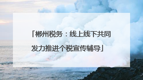 郴州税务：线上线下共同发力推进个税宣传辅导