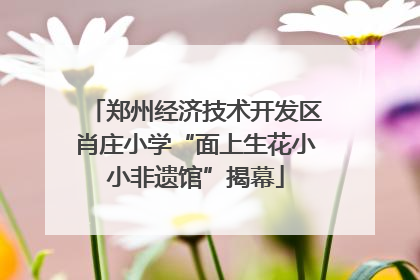 郑州经济技术开发区肖庄小学“面上生花小小非遗馆”揭幕