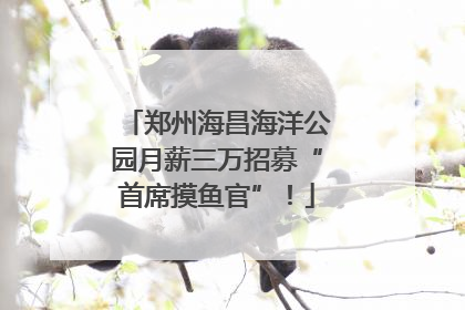 郑州海昌海洋公园月薪三万招募“首席摸鱼官”！