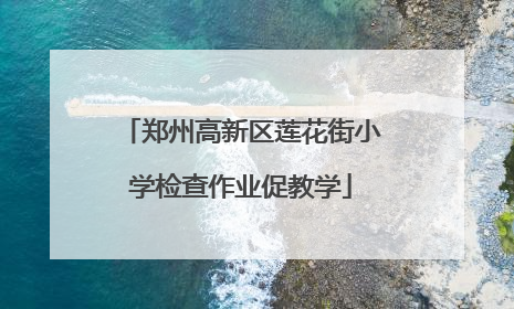 郑州高新区莲花街小学检查作业促教学