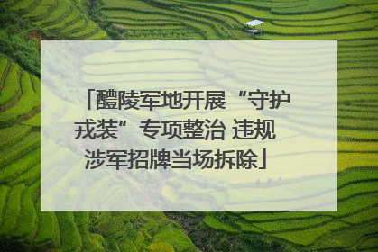 醴陵军地开展“守护戎装”专项整治 违规涉军招牌当场拆除