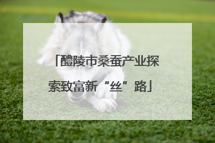 醴陵市桑蚕产业探索致富新“丝”路