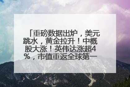 重磅数据出炉，美元跳水，黄金拉升！中概股大涨！英伟达涨超4%，市值重返全球第一！黄仁勋计划出售至多600万股股票