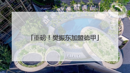 重磅！樊振东加盟德甲