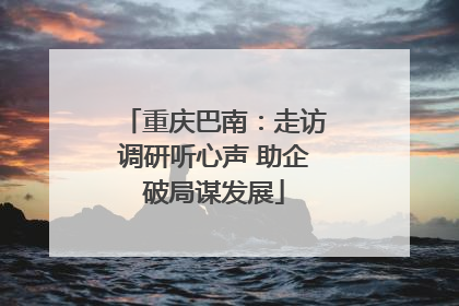 重庆巴南：走访调研听心声 助企破局谋发展