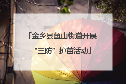 金乡县鱼山街道开展“三防”护苗活动