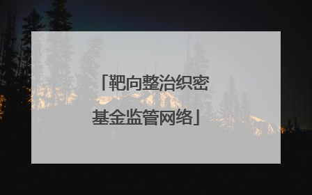 靶向整治织密基金监管网络