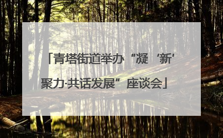 青塔街道举办“凝‘新’聚力·共话发展”座谈会