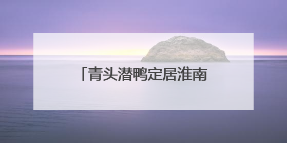 青头潜鸭定居淮南焦岗湖 最多一次发现104只，属国家一级保护野生动物