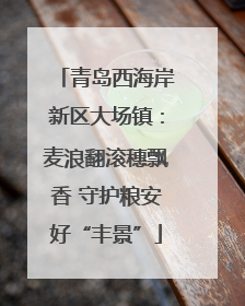 青岛西海岸新区大场镇：麦浪翻滚穗飘香 守护粮安好“丰景”