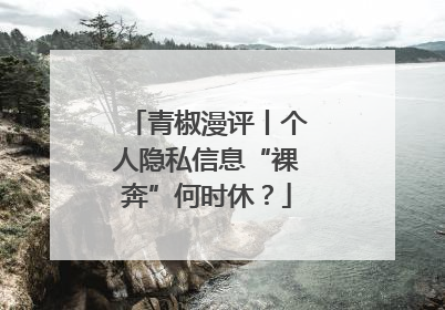 青椒漫评丨个人隐私信息“裸奔”何时休？