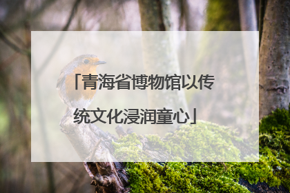 青海省博物馆以传统文化浸润童心