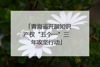 青海省开展知识产权“五个一”三年攻坚行动