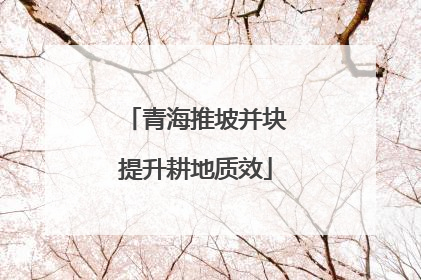 青海推坡并块提升耕地质效