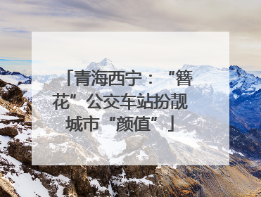青海西宁：“簪花”公交车站扮靓城市“颜值”