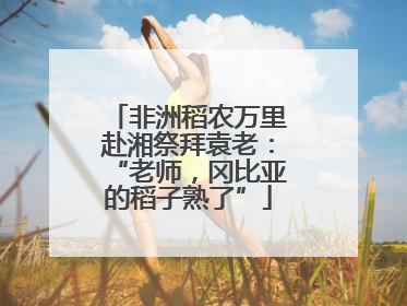 非洲稻农万里赴湘祭拜袁老：“老师，冈比亚的稻子熟了”