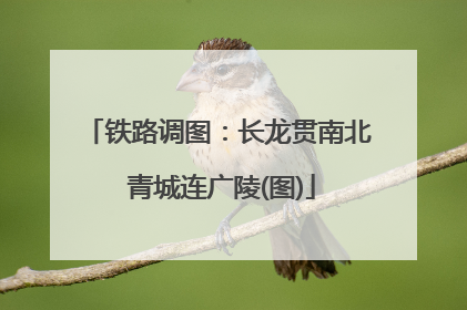 铁路调图：长龙贯南北 青城连广陵(图)