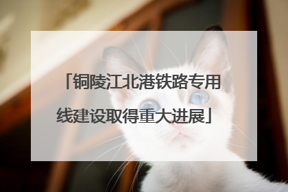 铜陵江北港铁路专用线建设取得重大进展