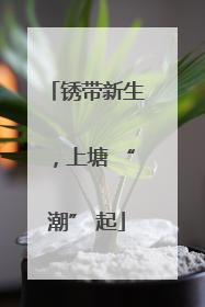 锈带新生，上塘 “潮” 起