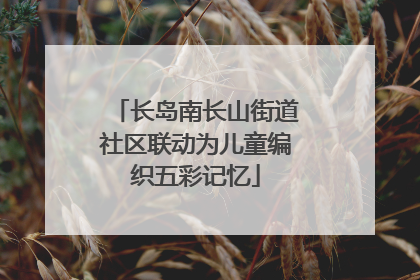 长岛南长山街道社区联动为儿童编织五彩记忆