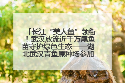 长江“美人鱼”领衔！武汉放流近千万尾鱼苗守护绿色生态——湖北武汉青鱼原种场参加2025年“全国放鱼日”增殖放流活动